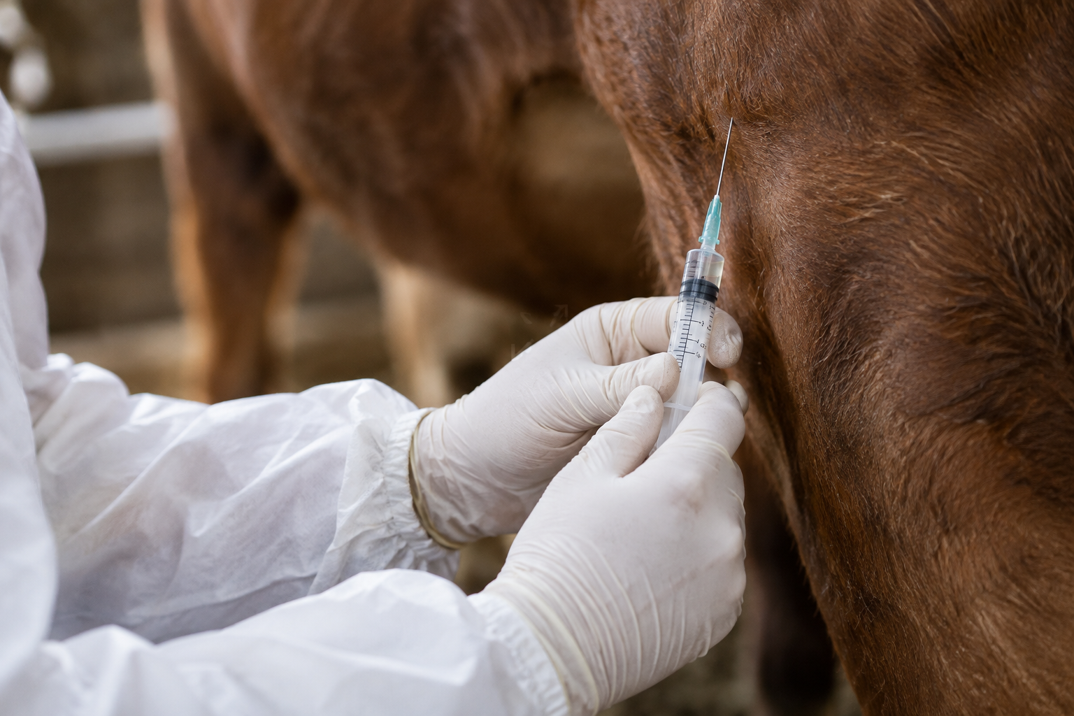 Alfasan Uganda Cattle treatment
