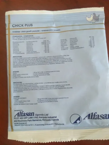 Chick plus