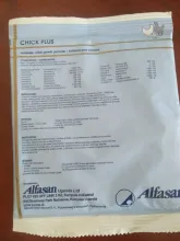 Chick plus